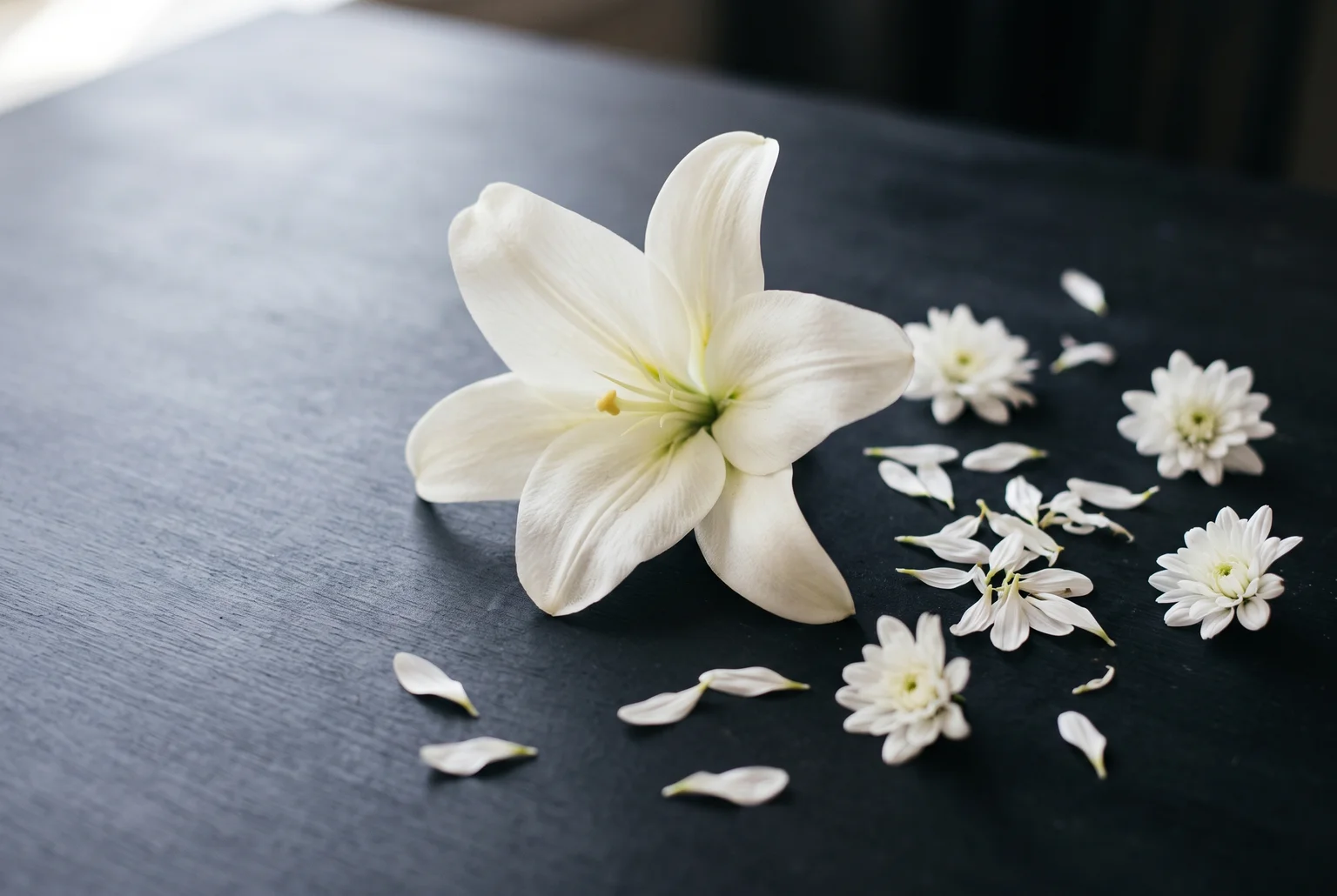 White lilies and chrysanthemums carry quiet, restrained associations in many mourning traditions, though their meaning depends on cultural context rather than any fixed rule.