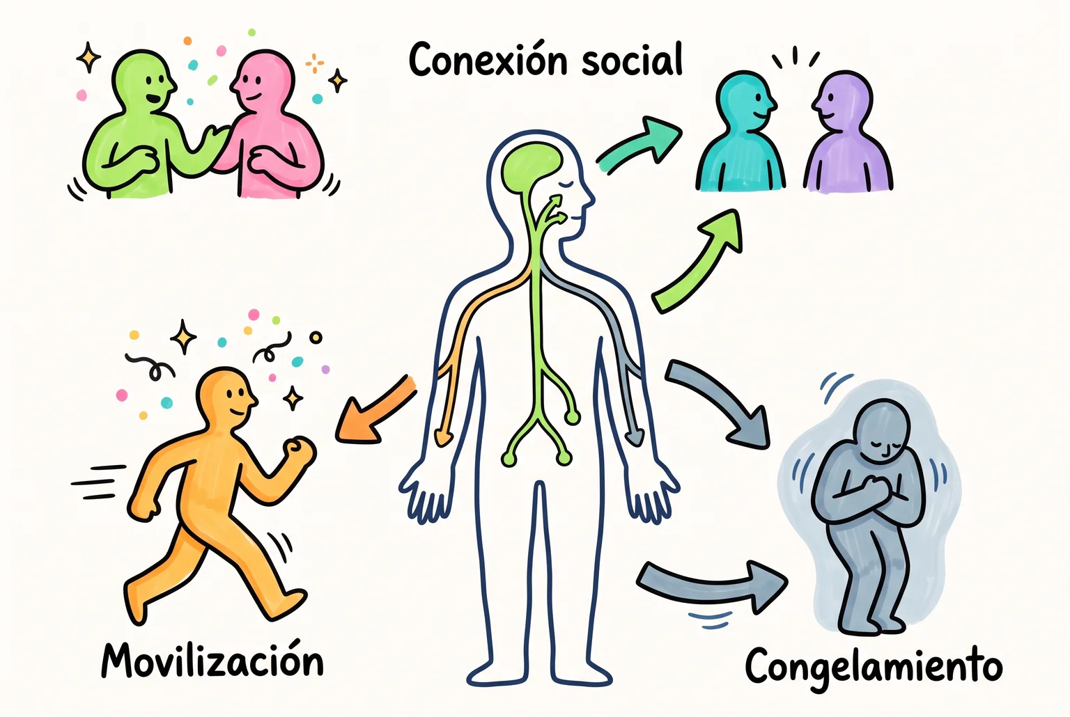 Silueta corporal con rutas hacia Conexión social, Movilización y Congelamiento.