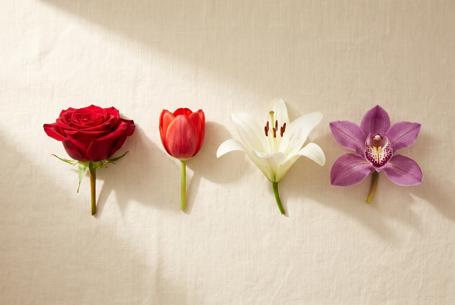 Roses and red tulips speak most directly of love, while lilies and orchids lean toward purity and quiet devotion, each carrying its own shade of meaning.