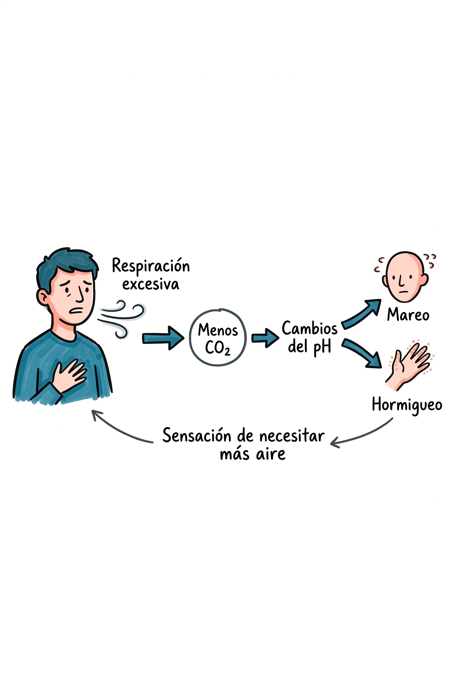 Persona exhalando y flechas hacia «Menos CO₂», «Cambios del pH», «Mareo» y «Hormigueo», con una flecha de retorno.