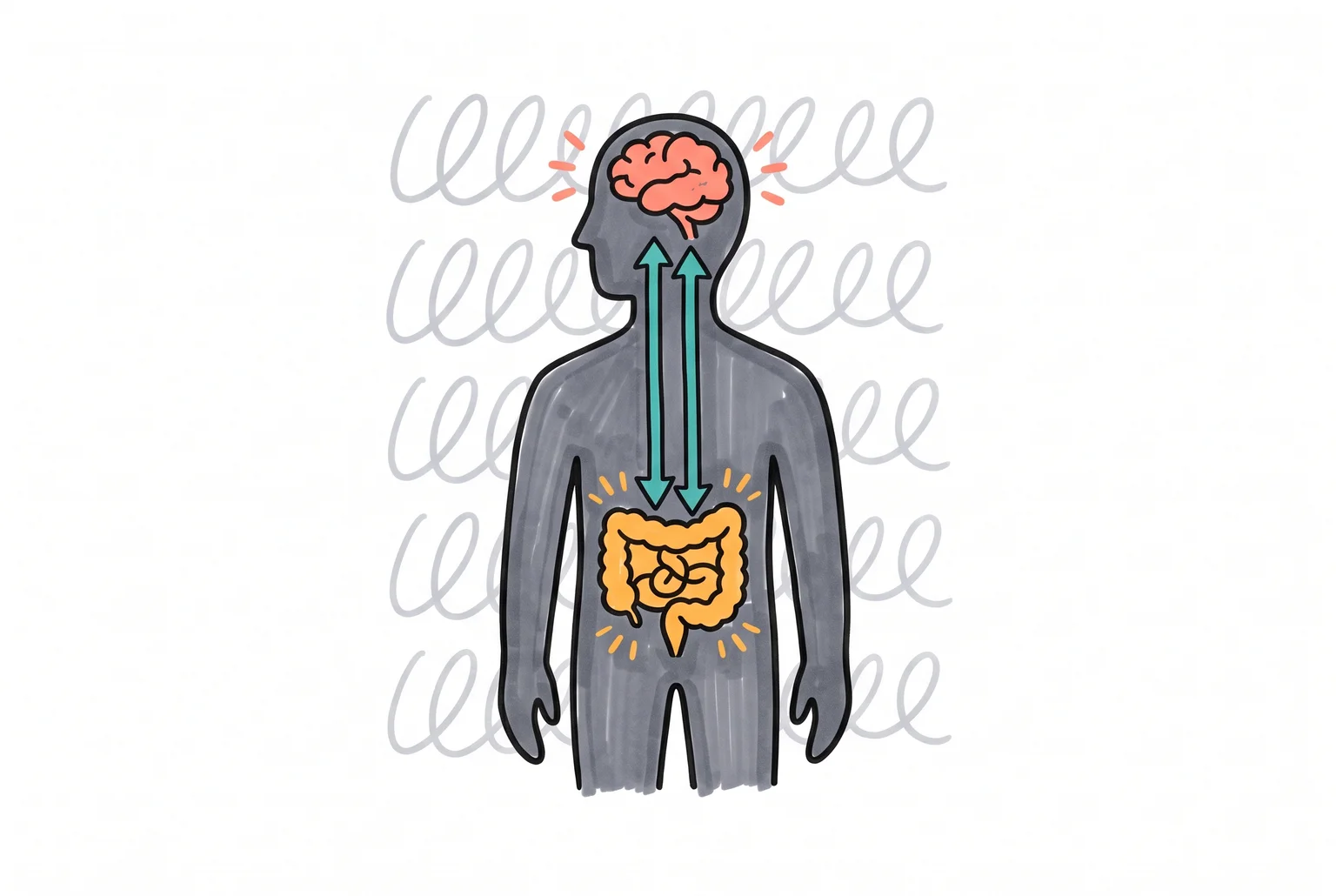 Silueta humana con cerebro y abdomen conectados por flechas bidireccionales, con pensamientos en espiral al fondo.