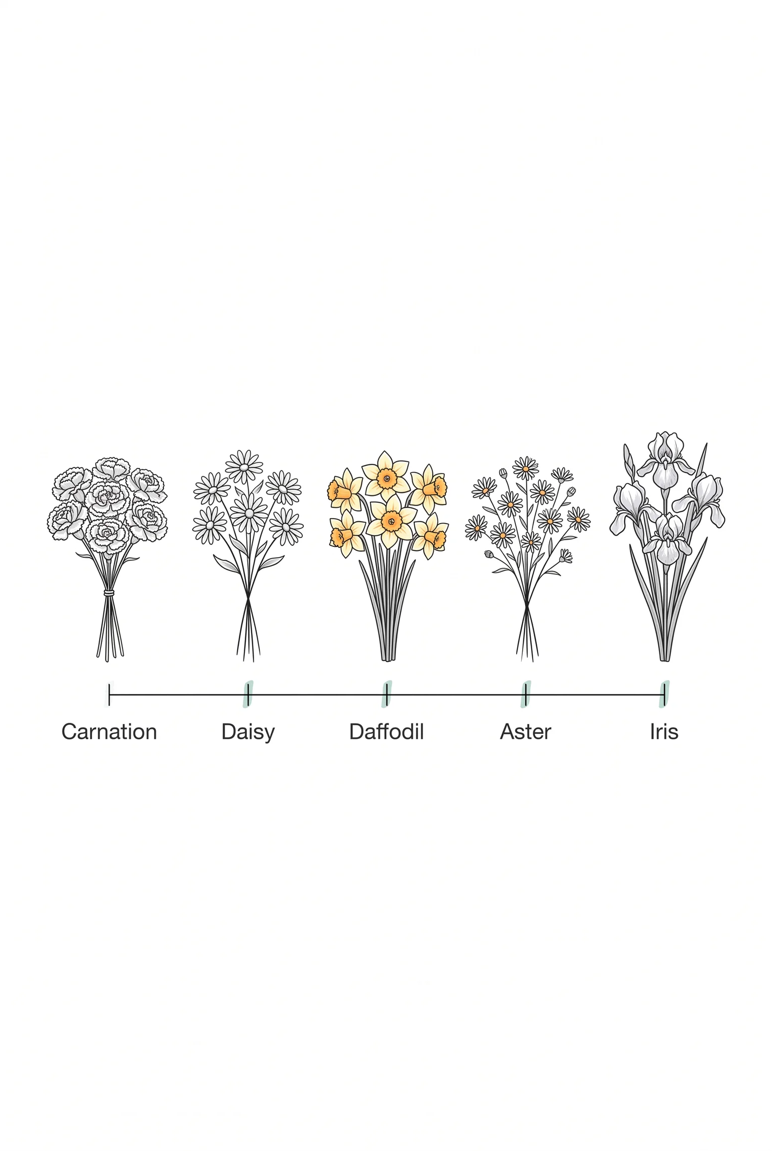 Five milestones, five flowers, one glance to see how the tradition evolves from carnation to iris.